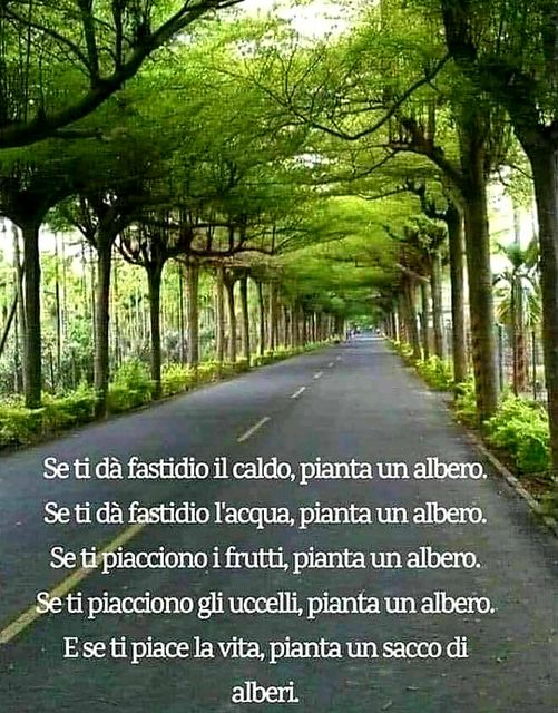 gaby11923's tweet photo. @federicod https://t.co/fREO87xFmZ