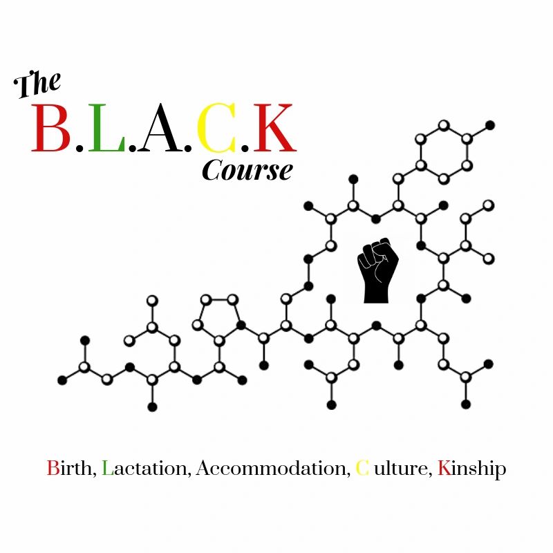 TheBLACKCourse's tweet photo. Did you know that professional lactation training is more than just a course? It's a transformative experience that can change your life and the lives of those you help. Learn with The B.L.A.C.K. Course Team - https://t.co/oO7QBqMOUh 

#TheBLACKCourse #therevolutionwillbelatched https://t.co/2E6bZ6vo1Y