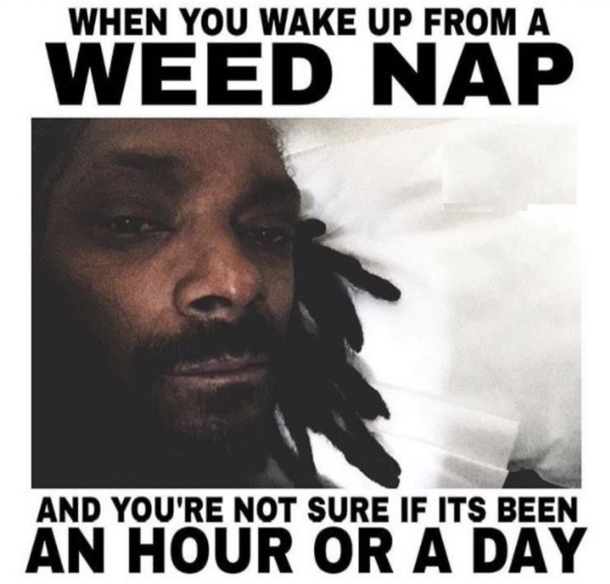 BudVizion's tweet photo. Are you taking a #weed nap today?  Yes or No

#Mmemberville #StonerFam #cannabisculture #Marijuana #Stonerfam #weedsmokers #Weedmob #CannabisCommunity #Tuesdayvibes #weedsmokers #MMJ #Weedlovers #stoner #cannabisindustry #4thofJuly📷 LMAO https://t.co/mw0Us22K4C