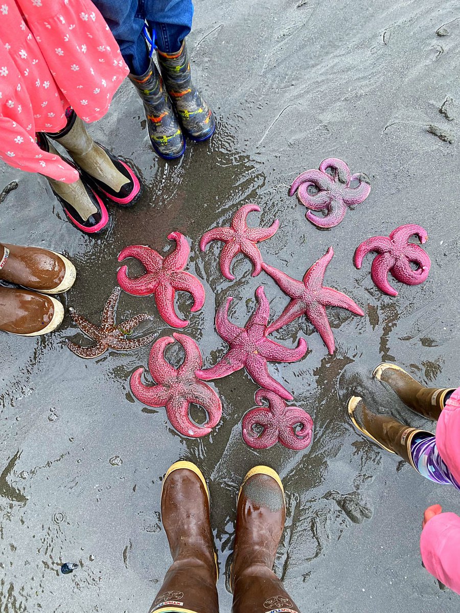 Robin Jones tweet media