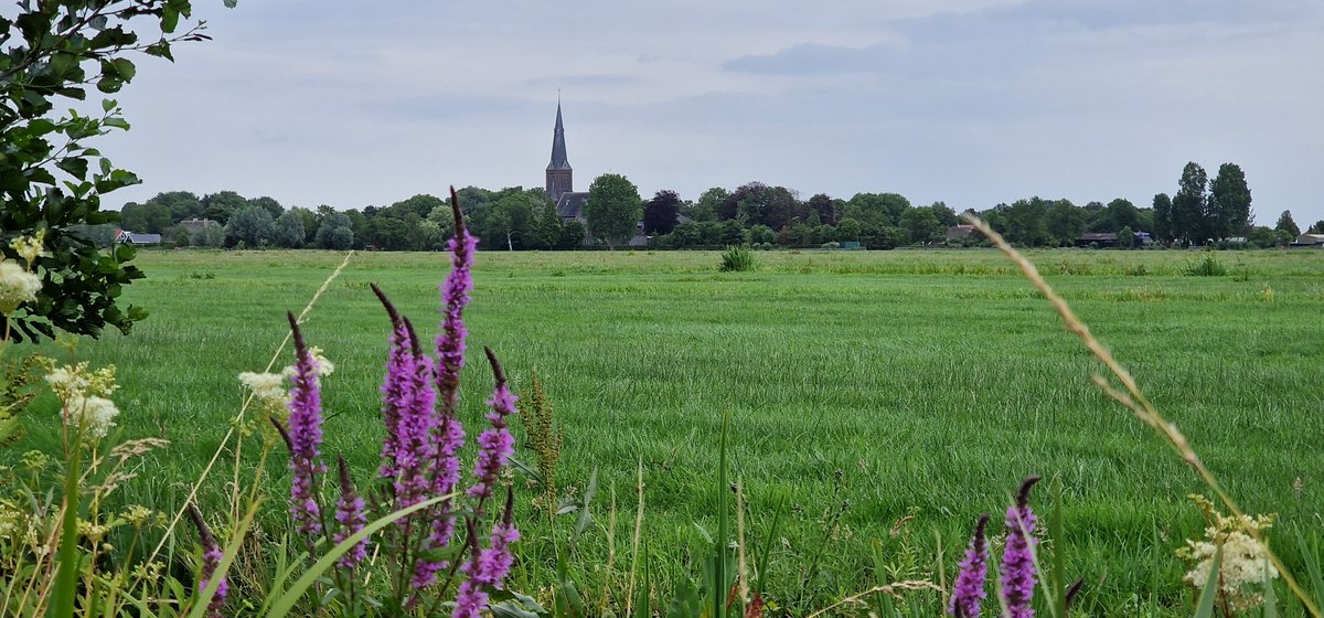 Martin1960's tweet photo. Avondrondje zonder zon, 25 km βοΈπ΄πΎββοΈπ https://t.co/WKXFW8nOiO #AlphenAanDenRijn #Korteraar #TerAar #Woubrugge #Alphen https://t.co/qshuZTSSTI