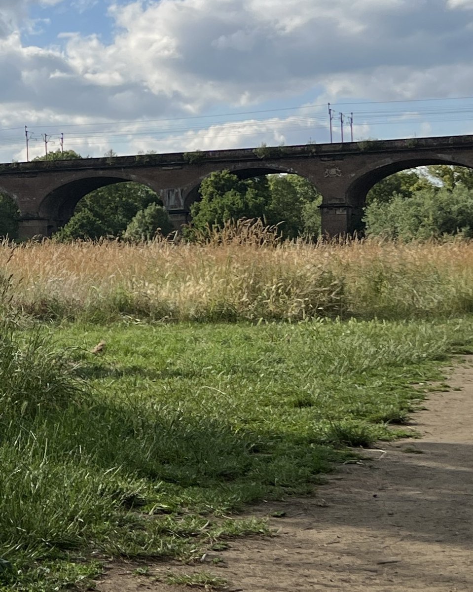 Brilliant! Everyone got it right tonight - the #EalingHour #whereinEaling #photoofthemonth is indeed the #Hanwell viaduct - all lovely and overgrown this week 

See you again in August 2023 for another picture challenge