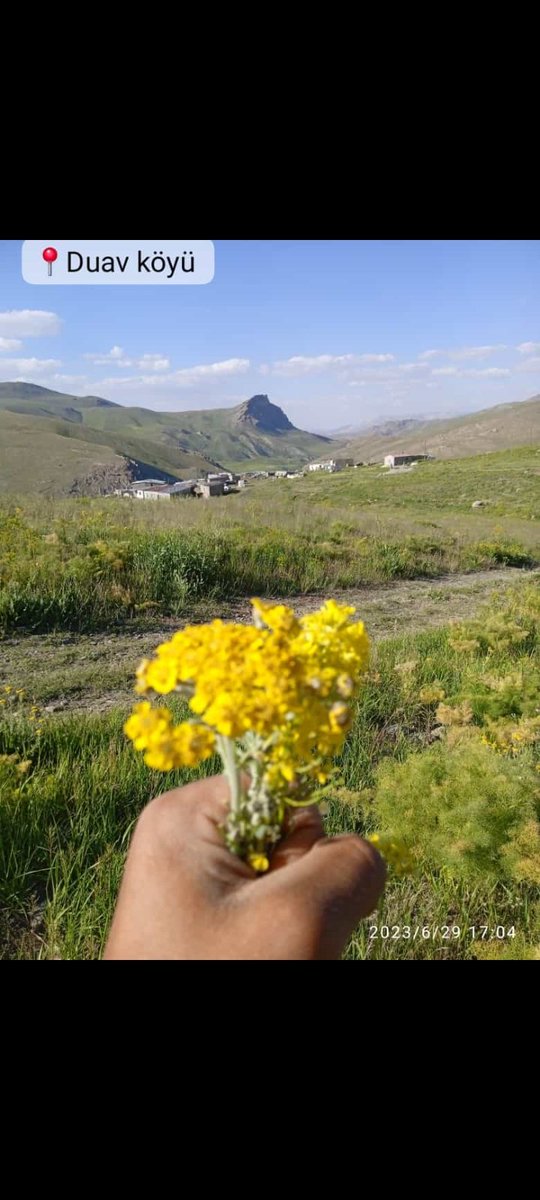 Duav köyünde bayram sabahı #Rojbaş