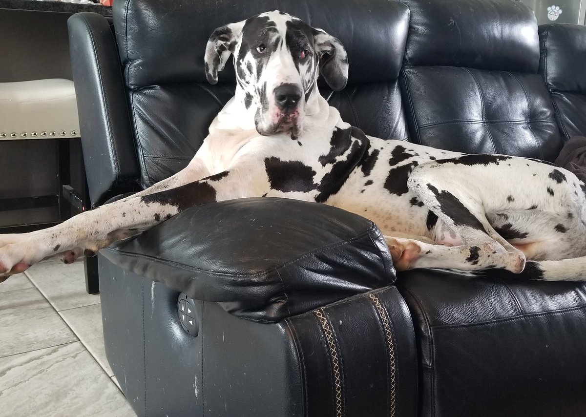 Happy 4th birthday little fellow.