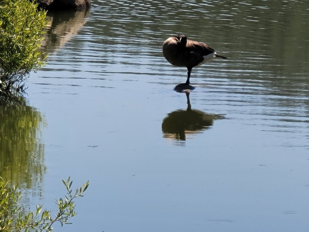 Rachmtbs (@rachmtbs) on Twitter photo 