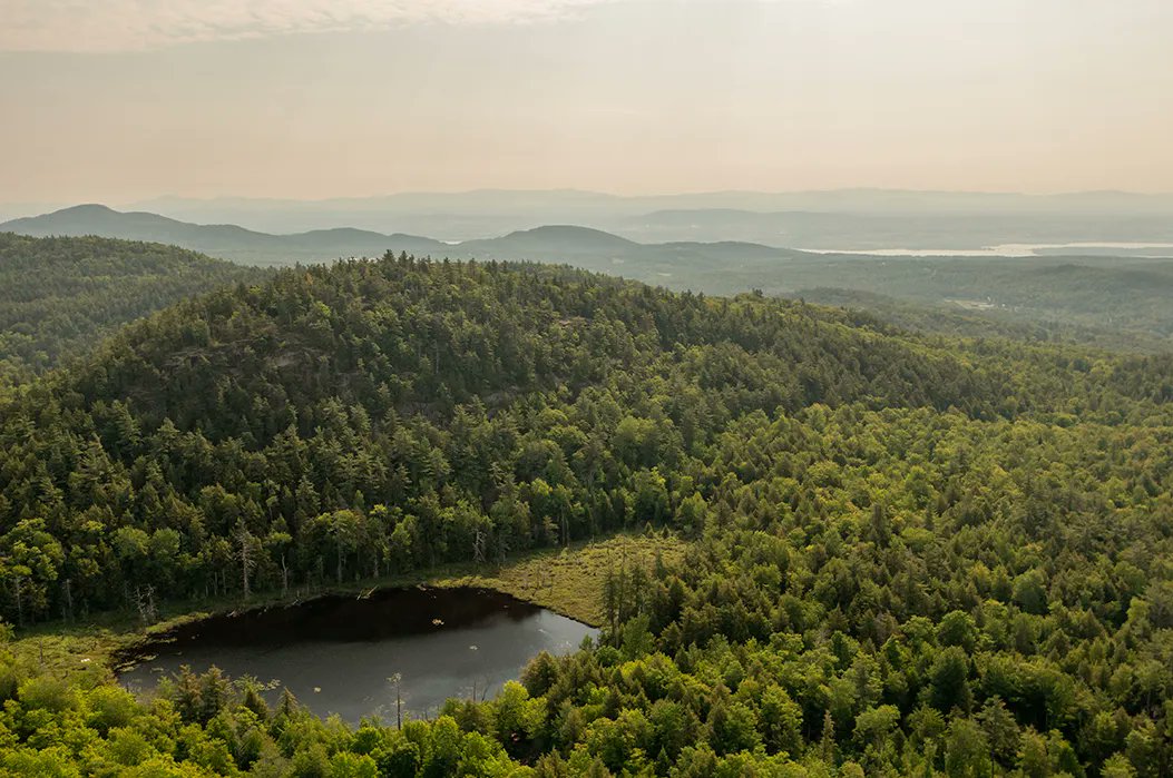 4wildplaces's tweet photo. In New York, the newly established Moriah Wilderness Preserve protects 1,775 acres that include the summit of Armstrong Mountain and frontage on Crowfoot Pond. The Wilderness Trust sends a big thank you to all who helped #SaveThisLand! Learn more at https://t.co/I4qFI4zK41 https://t.co/GApyALP0h4