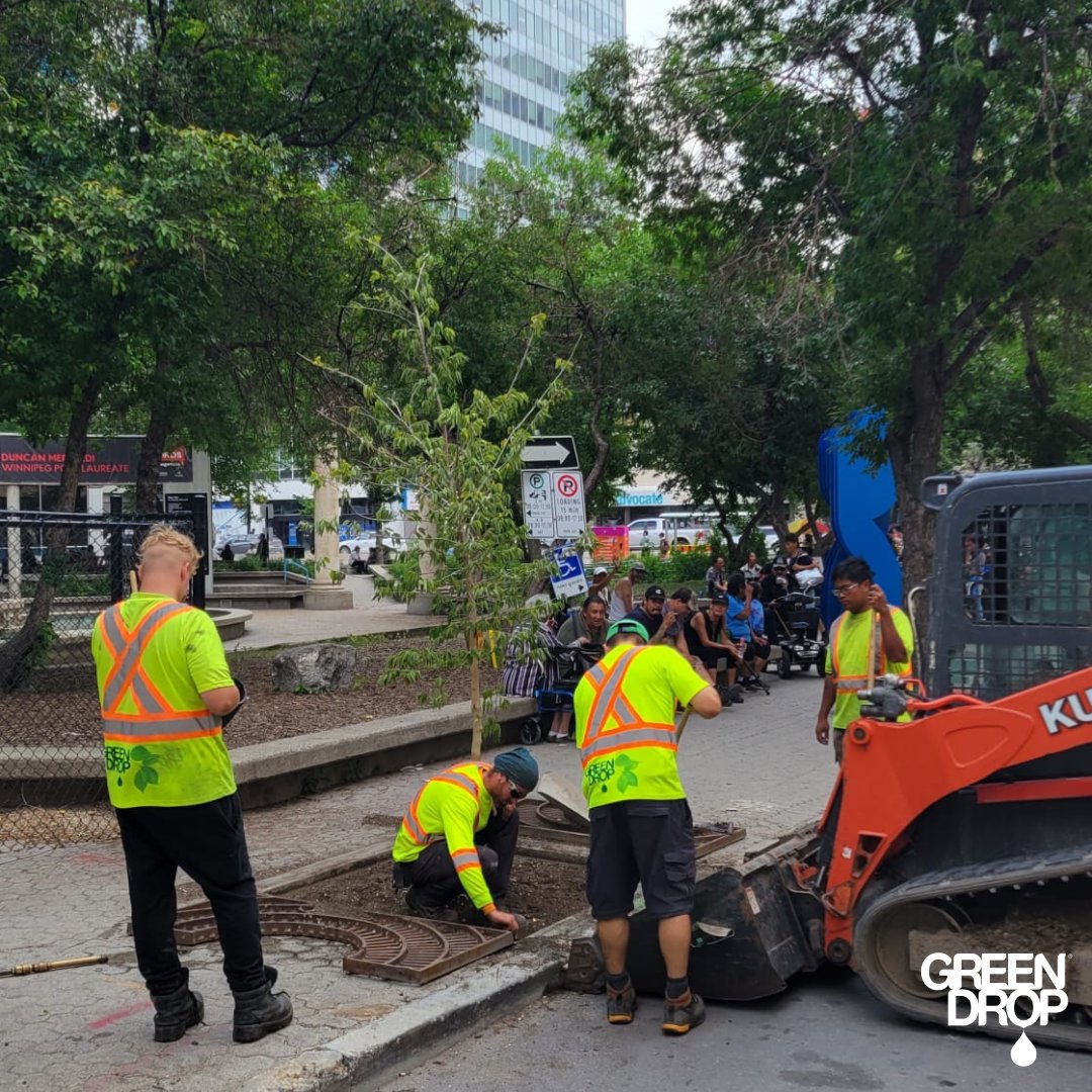 GreenDropTrees's tweet image. Down Town tree planting! 🌳 💚 

#ItsBeautifulOutside #GreenDropTreeCare #TreeLove #TreeCareCommunity #TreePlanting #UrbanTreePlanting #Trees #TeamGreen
