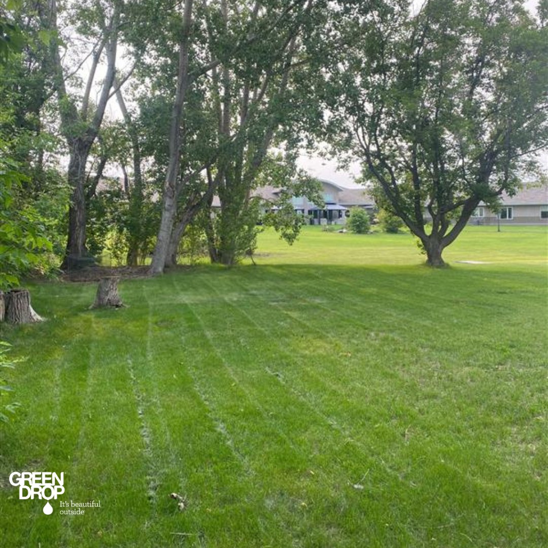 Green Drop tweet media