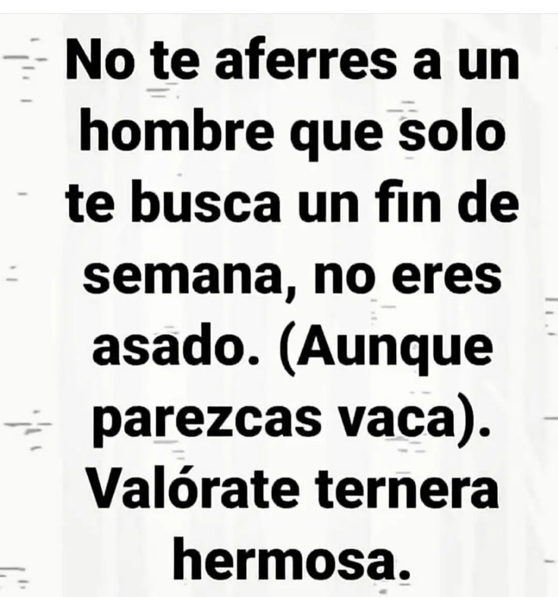 Pam 🪤🦖 tweet media