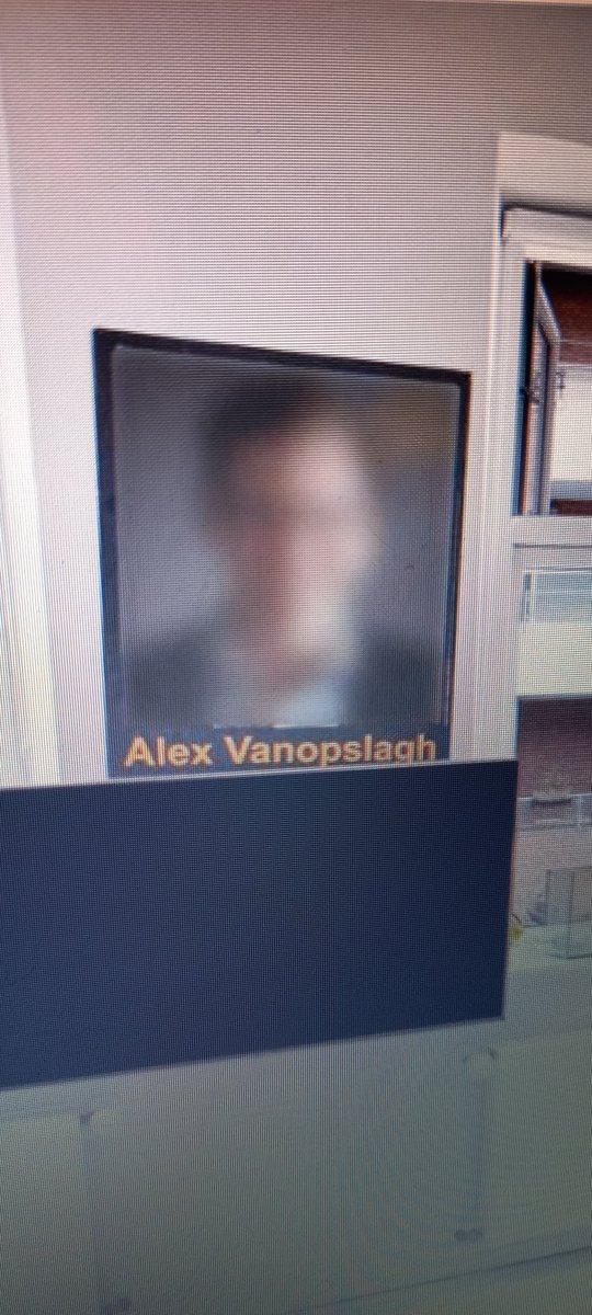 Jeg var inde på en ejendomsmæglerside for at kigge lidt. I et nydeligt byhus, stødte jeg på dét her, som ligner en slags portræt lavet af en kunstner ved navn Alex Vanopslagh. Desværre er værket blevet slørret, så vi finder nok aldrig ud af hvem det forestiller