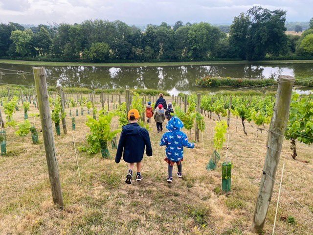 HTPD School tweet media