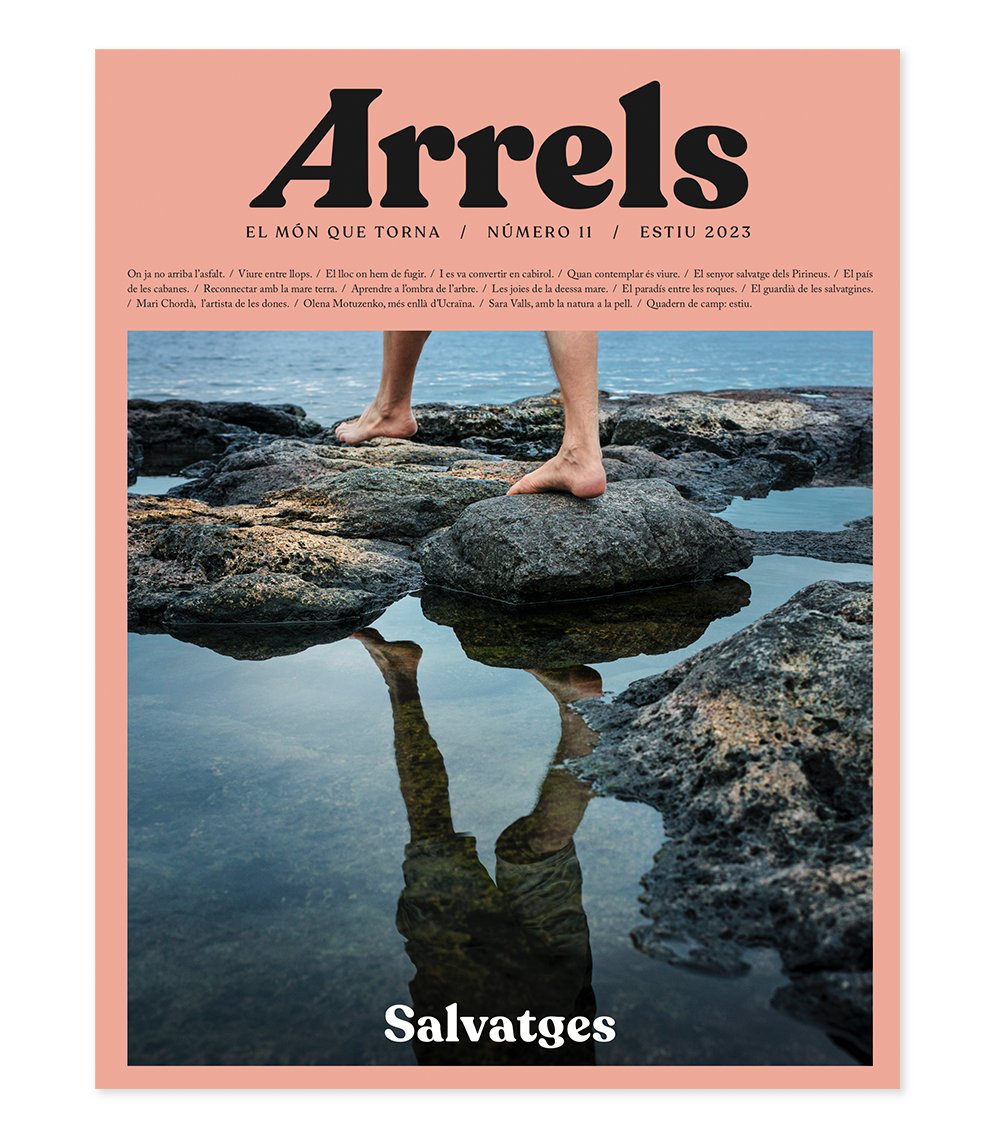 Llibreria 7ciències tweet media