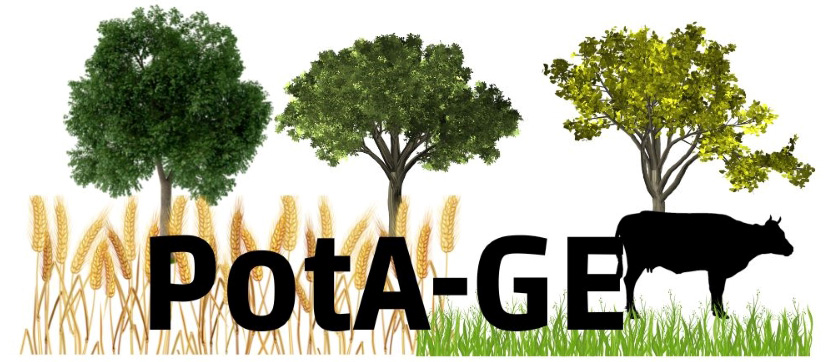 #replay Séminaire de restitution projet PotA_GE du 13 juin 2023: introduction par Nicolas Marron, UMR Silva #agroforesterie @INRAE_Nancy @ademe @Univ_Lorraine @APT_Nancy youtu.be/1Nwyf0ilbHk