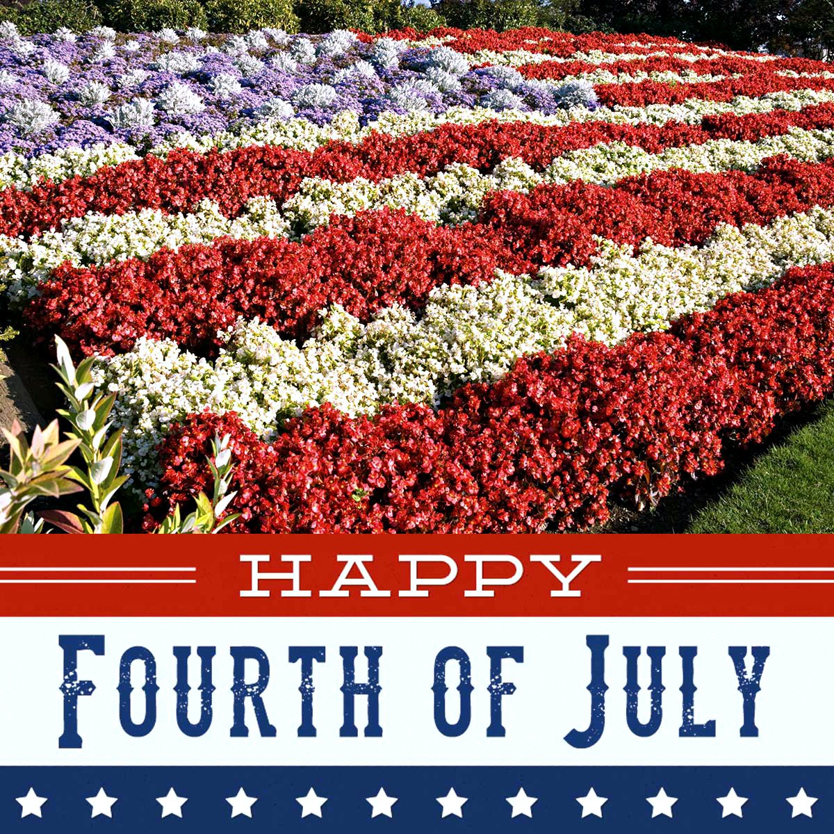 🇺🇸 Happy  Independence Day! Red, White, and Blue will always shine brighter with  Green Envy. Wishing you all a Safe and Happy 4th of July! 🎆

#HappyFourthofJuly #Happy4thofJuly