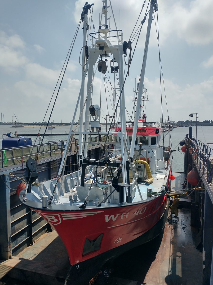 LuytGroep's tweet photo. 'Sail In' #DenOever🌊⚓️☀️
Altijd 'n prachtig uitzicht op de vloot.
Afgelopen week zijn ons #dok binnengevaren:
🚩WR-40 #garnalenkotter
🚩WR-2 #garnalenkotter
🚩WR-21 #garnalenkotter
🚩Lady Madeleine #passagiersschip
🚩Deep Seapal #survey #vessel
🚩BM-181 #scalloper
#LUYT #werf https://t.co/iHDEHCaRZn