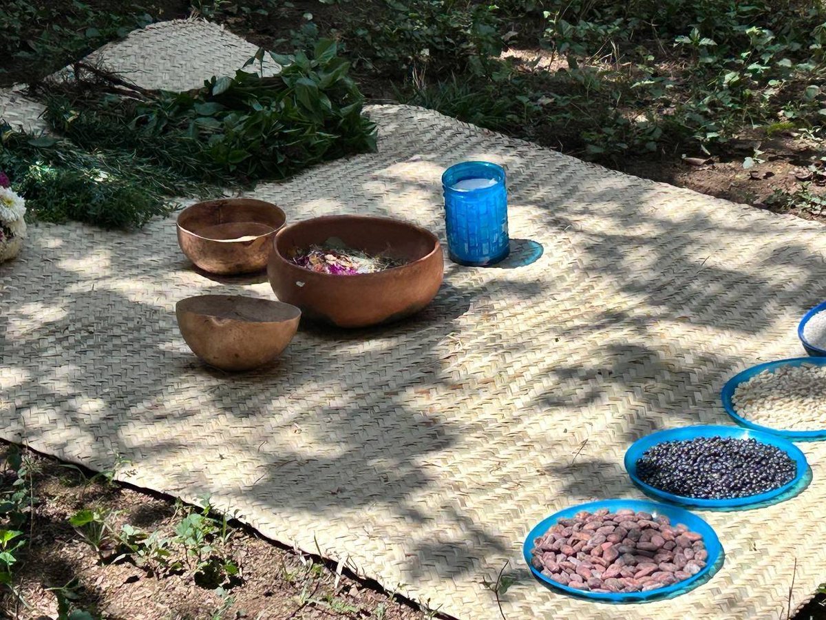 consorciooaxaca's tweet image. 🌿Consorcio Oaxaca, sigue #ConstruyendoPaz. 

 🟣Hemos llegado a cabo la segunda sesión del Círculos de Paz &quot;Recolectoras  de sembranza&quot;, este proceso está siendo facilitado por Maria M. Claire  impulsora de #TOA 

🧵1/2

@FondoSemillas @zfdnews @taulapermexic @SerapazMexico