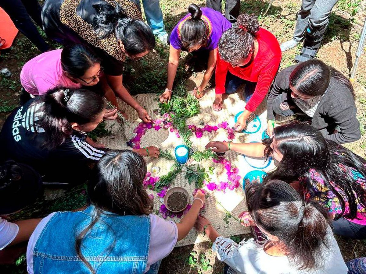 consorciooaxaca's tweet image. 🌿Consorcio Oaxaca, sigue #ConstruyendoPaz. 

 🟣Hemos llegado a cabo la segunda sesión del Círculos de Paz &quot;Recolectoras  de sembranza&quot;, este proceso está siendo facilitado por Maria M. Claire  impulsora de #TOA 

🧵1/2

@FondoSemillas @zfdnews @taulapermexic @SerapazMexico