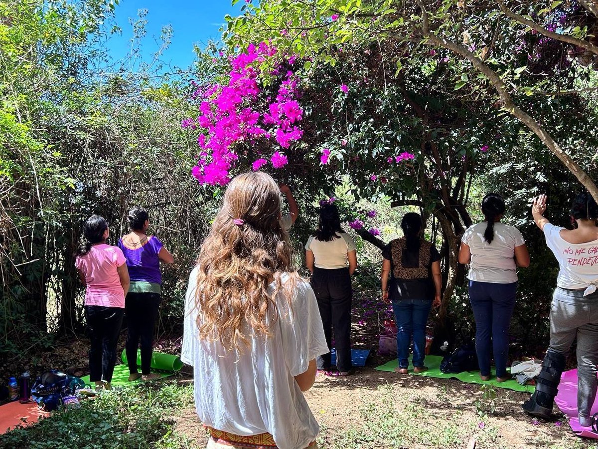 consorciooaxaca's tweet image. 🌿Consorcio Oaxaca, sigue #ConstruyendoPaz. 

 🟣Hemos llegado a cabo la segunda sesión del Círculos de Paz &quot;Recolectoras  de sembranza&quot;, este proceso está siendo facilitado por Maria M. Claire  impulsora de #TOA 

🧵1/2

@FondoSemillas @zfdnews @taulapermexic @SerapazMexico