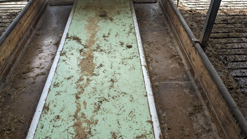 ChewintheCudNut's tweet image. Day 1 of my trip to Sweden thanks to @VikingGenUK and been an interesting day to see things in action I'd only seen in pictures before, as well as seeing some good cows #teamdairy #procross