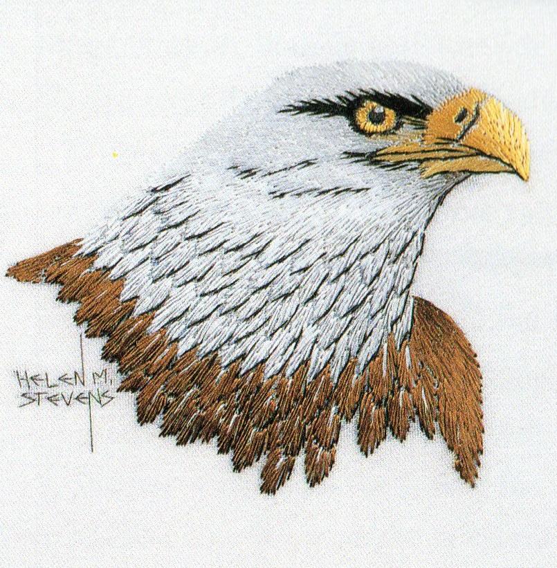 helen_m_stevens's tweet photo. @marktakesphoto Wonderful video. What an amazing bird!  Just realised I should have used my Bald Eagle portrait to wish everyone over the Pond a Happy 4th July!! #embroidery #birds #baldeagle #fourtofjuly https://t.co/GxK2n6BQNH