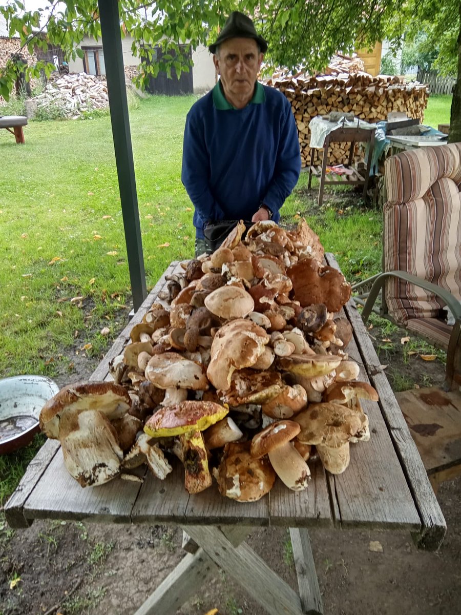 Before Twitter goes down I’m sharing this picture of my father ensconced in his village, stocking up protein for the winter (and wood).