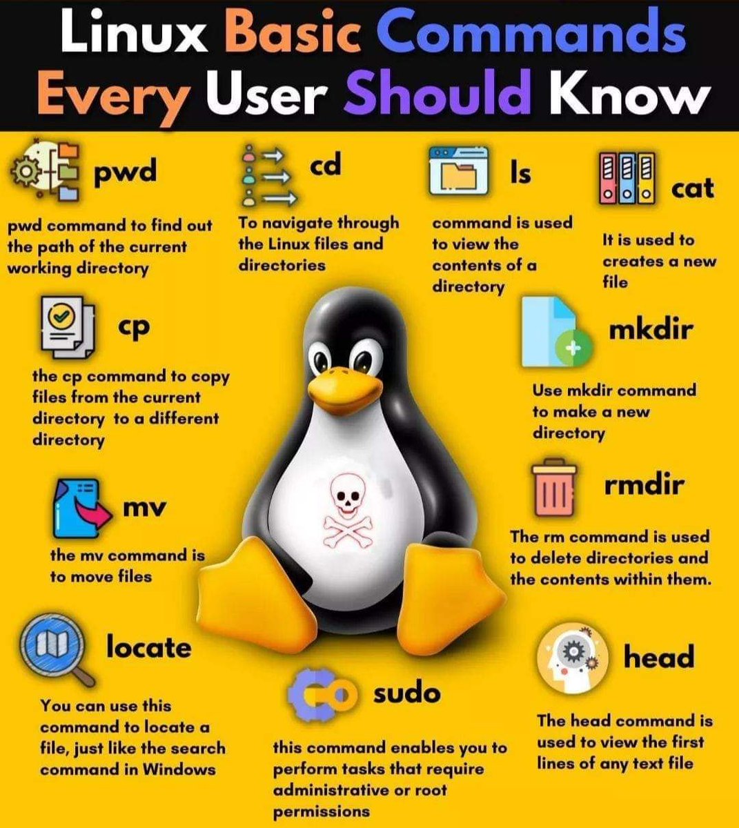 UnnusSystems's tweet image. .
.
Linux Basic commands 🐧💻👨🏭
.
#Linux #linuxvswindows #Python #UNNUS #Linux #Web3 #Crypto #NFTs #drone #NFT #news #Hacking #Android #NodeJS #DidYouKnow #Software #business #Memes #technology #Robots #setup #IoT #IOTA #AI #javascript #Java #NFTs #Robot #Science #hackers