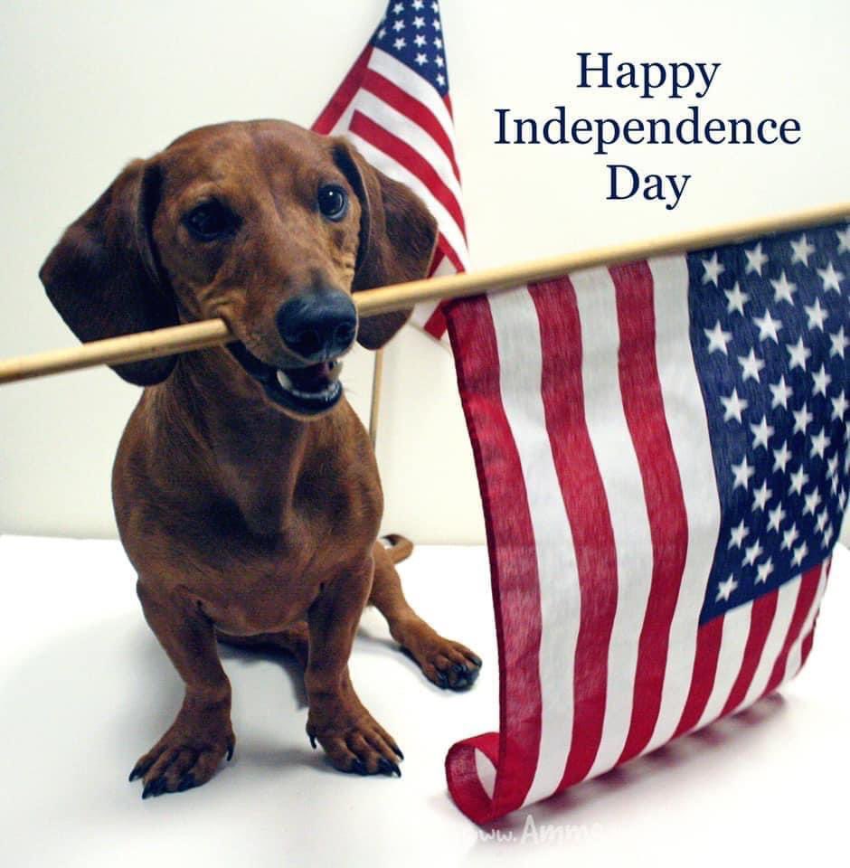 Dottie and I wish you a blessed July 4th! 
🇺🇸 🌭 🥧