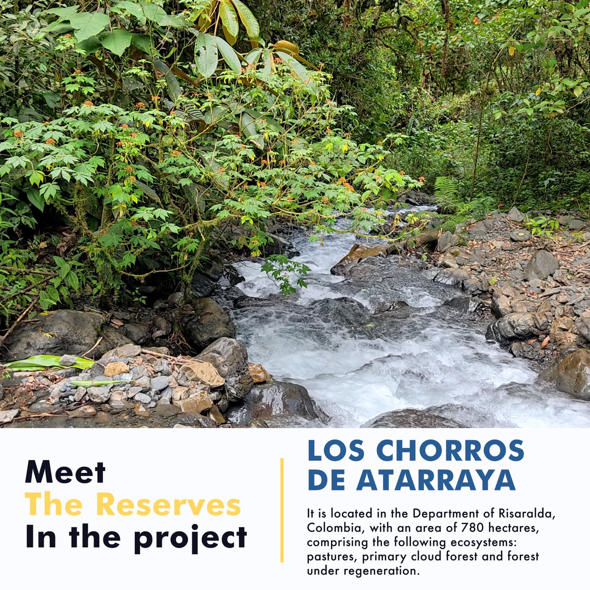 BioA3_Official's tweet photo. Transparency in how BIOA3 works is what sets us apart, NATURE IS OUR DRIVING FORCE!

We want to give you access to what makes this project special, here we present one of the reserves in the project.

📍https://t.co/r5GYDGvV4k
#bioa3 #cryptonews #crypto #altcoin https://t.co/jZS6opd2hJ