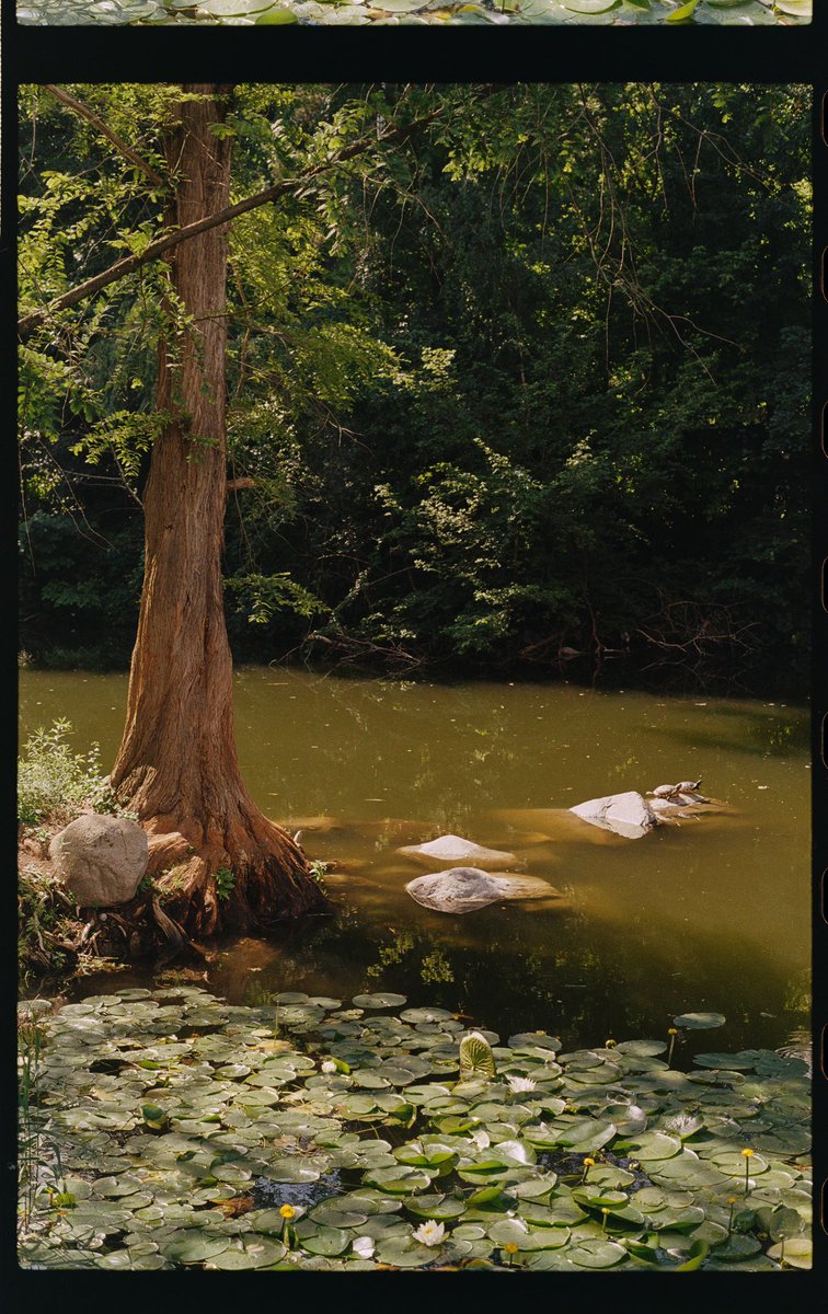 how good is portra 160? Damn