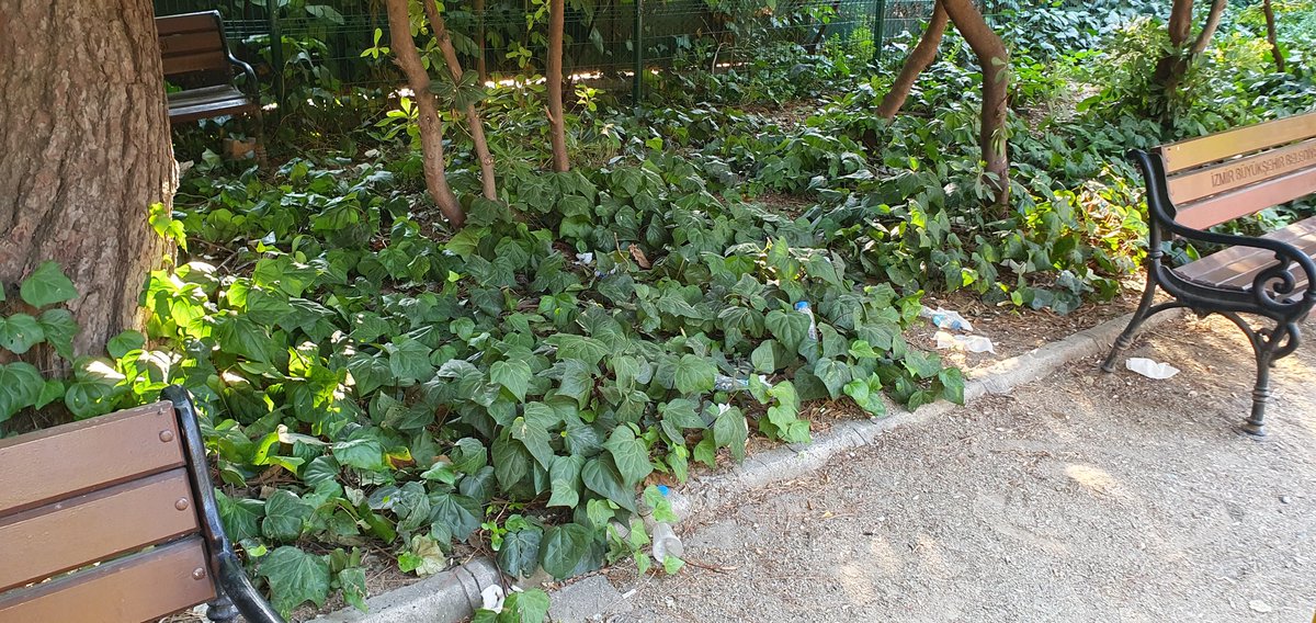 hmtylds's tweet photo. @izmirhim izmir'in şu pisliğine son verin lütfen. Yer İzmir'in göbeğinde kültürpark tenis kulübü yanındaki çocuk parkı. Sadece burası değil İzmir'in tüm parkları leş içinde... https://t.co/E0xFHVsc9F