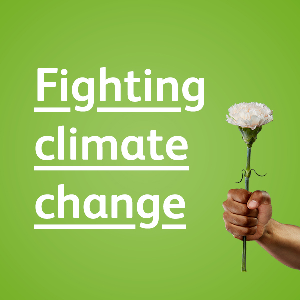 Chrysal Benelux tweet media