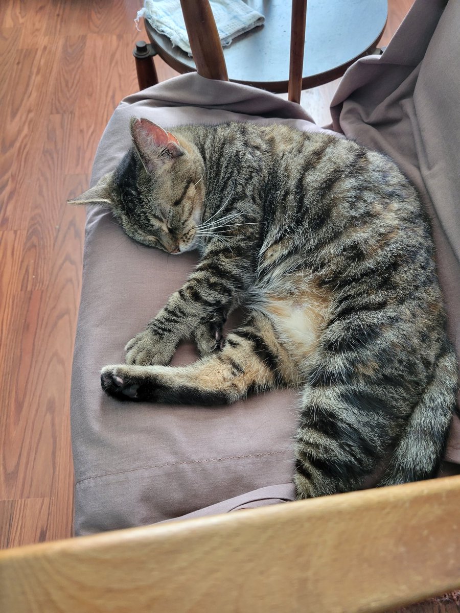 simonsmath's tweet photo. @StrayLiotta https://t.co/FnG0xYxTU1