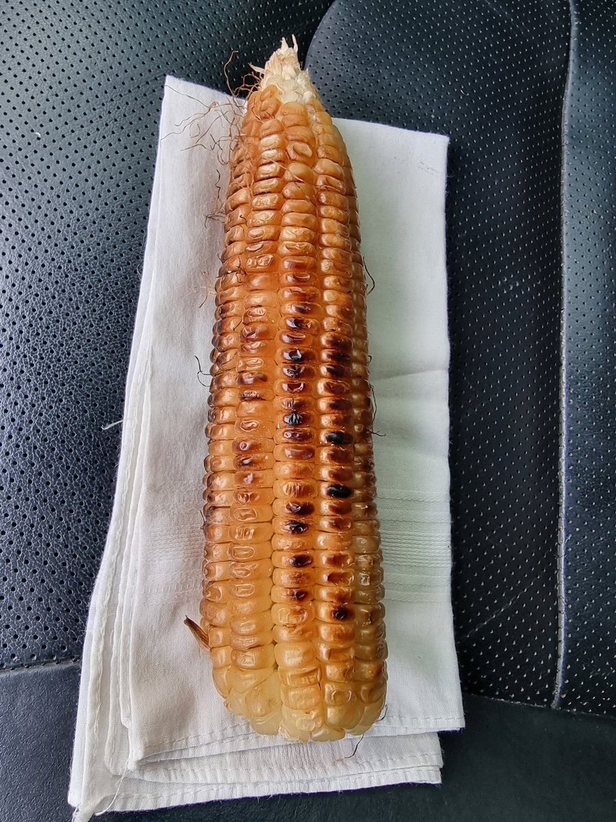 How much is roated corn in your area?