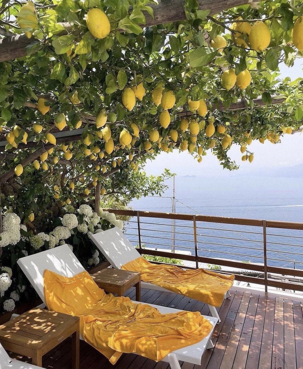 oh to sunbathe underneath the lemon trees
