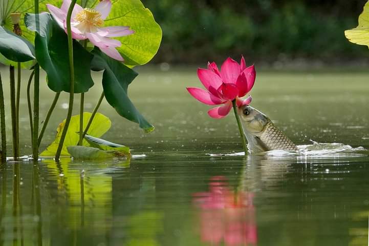 itz_radhi3's tweet photo. இந்த photo நல்லா இருக்குல?? யாராவது கவிதை?? https://t.co/S3aaFWI4g3