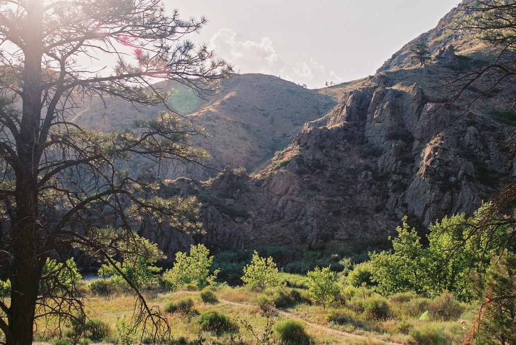 There's nothing quite like the natural 
splendor and surreal beauty of the Cache la Poudre 
River National Heritage Area🤩
.
.
.
.

#poudreriver #coloradoviews #colorfulcolorado #coloradoshared #naturalcolorado #onlyincoloradousa #explorecolorado