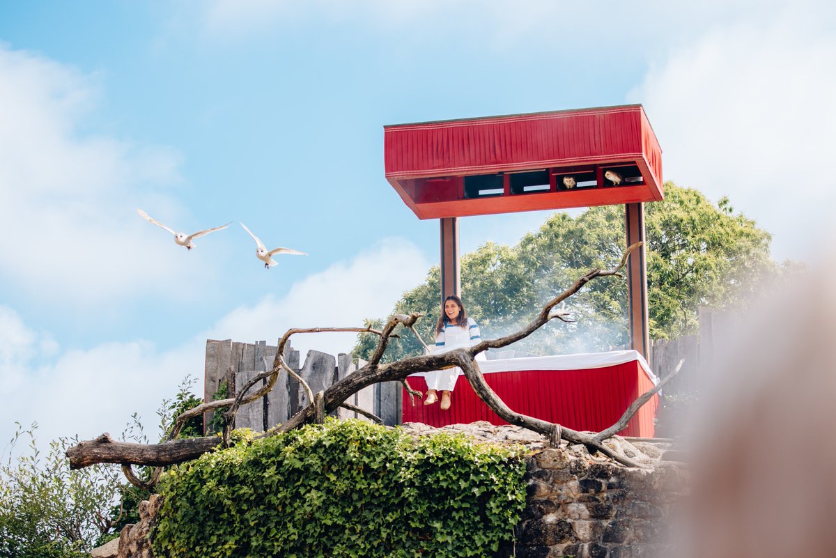 PuyduFou's tweet photo. #Quiz ​

De quelle espèce sont les deux chouettes que vous pouvez voir lors du réveil d'Aliénor ? ​

📷 Arthur Aumond

#PuyduFou #Animaux #Chouette #LeBaldesOiseauxFantômes https://t.co/22SWyIcN4y