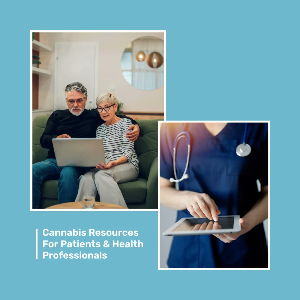Access a wealth of information and tools on various topics, including the latest cannabis research and wellness resources for patients and health professionals.

View our learning centre here: buff.ly/3D3NFne 

#learningcentre #cannabisresources