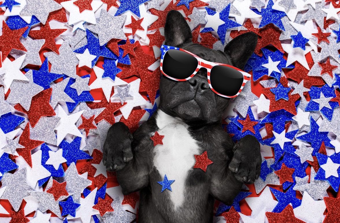 IL_Advance's tweet photo. 🎇Happy 4th of July! We wish you and yours a wonderful and safe holiday filled with cherished moments! 🎇

#HappyFourth #4thofJuly https://t.co/eWk1Dz6xX5