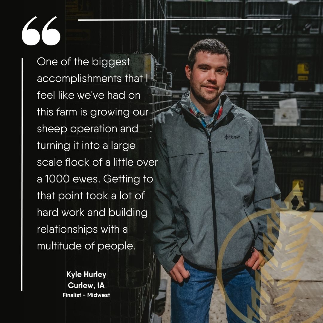parallelag1's tweet photo. Hurley Polypay Sheep Farm in Curlew, Iowa is the product of the incredible hard work and dedication of Kyle and Carrie Hurley. Watch their interview and VOTE for them to win Operation of the Year today at https://t.co/0y6vKcmt0C https://t.co/nHWDSyGZ0p