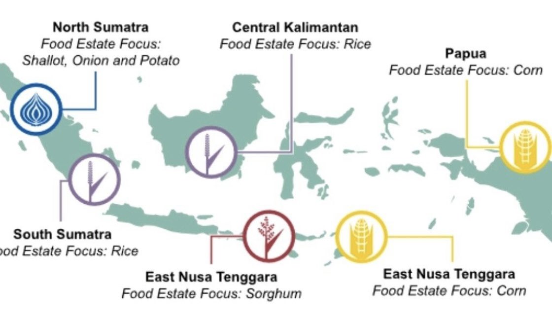 melmrtns's tweet photo. I told my mom shorgum is rich in antioxidants, which means food for trendy people today. Indonesia will plant it more. She said “it was food for poor people, the Indo communist tried to force us eating that in the 1960s. No one liked it, yuck.” 🙃 https://t.co/DE2EzaaE3u