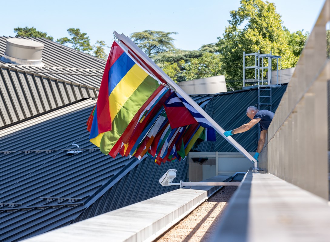 World Intellectual Property Organization (WIPO) tweet media