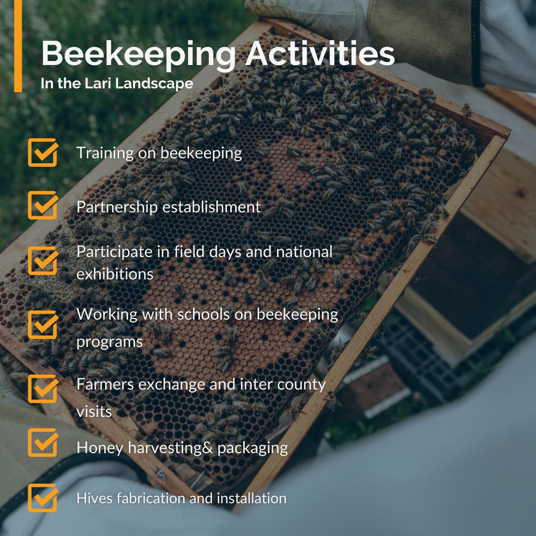 EcoAgPartners's tweet photo. 🐝Embracing alternative livelihoods in the Lari Landscape, farmers are investing in beekeeping. This sustainable practice protects the forest and offers a source of income. 

Discover the buzz around beekeeping in Lari!
https://t.co/oOjDnxA7yC

#AlternativeLivelihoods #Beekeeping https://t.co/rsqXpagIVQ