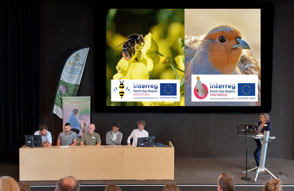 Op vrijdag 30 juni legden @INBOVlaanderen  samen met @PARTRIDGE_NSR  partners (<a href="/VLMtweet/">Vlaamse Landmaatschappij</a> , <a href="/boerennatuurVL/">Boerennatuur Vlaanderen</a> , @InagroBeitem , <a href="/HVV_Hubertus/">Jacht en communicatie</a> ) uit hoe het landbouwlandschap kan verbeterd worden voor een rijkere biodiversiteit. Hoe dat kan vind je hier: northsearegion.eu/partridge/proj…