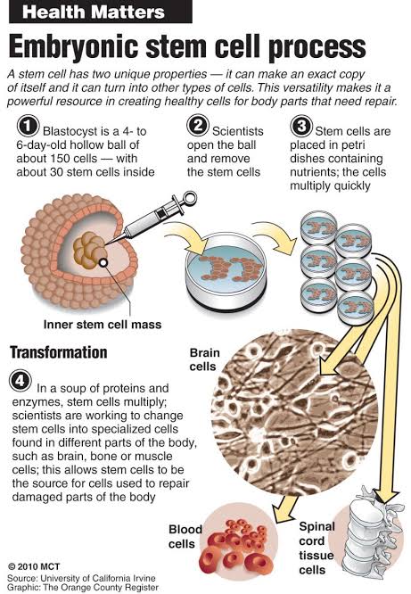 Regenerati30149's tweet photo. #stemcells #embryonicstemcells #regenerativemedicine #medLiber https://t.co/DBbq8tfA0A