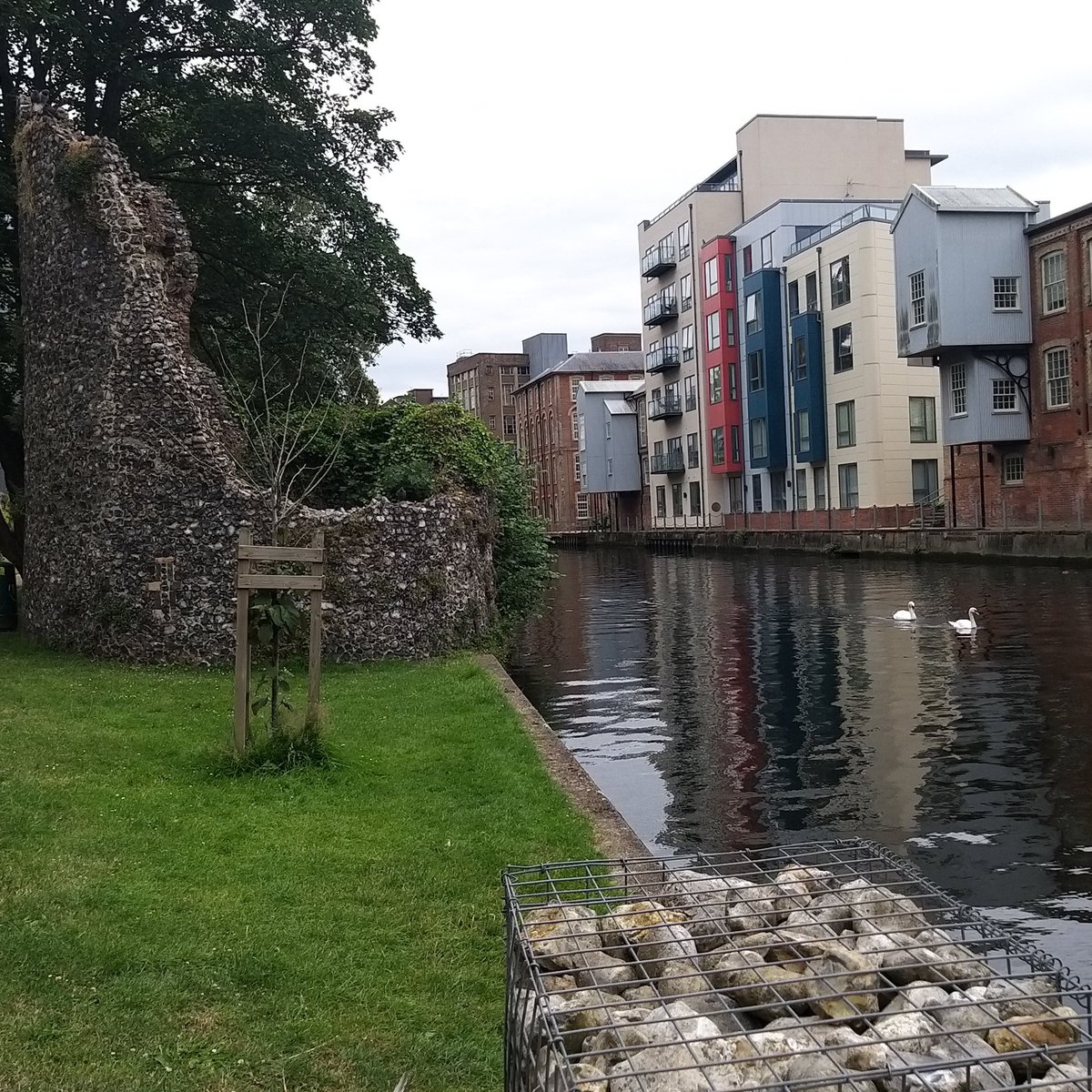 AngelikPapadaki's tweet image. At beautiful Norwich, ready for @bsg2023 to start tomorrow. There will be some train cancellations and the photo from Norwich train station might help others to plan