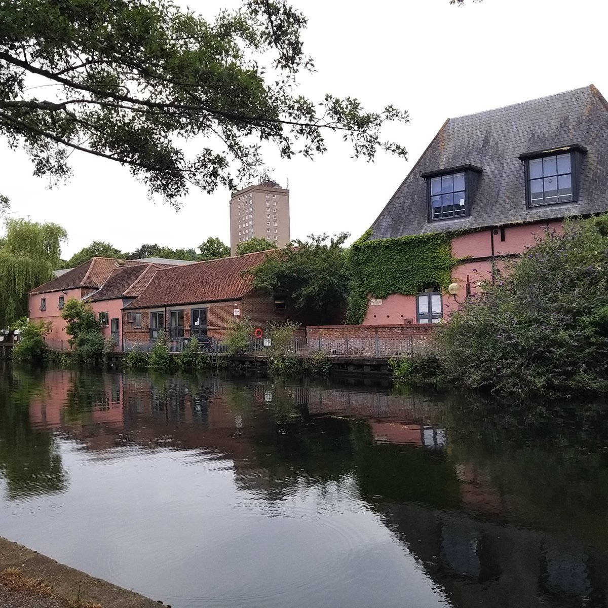 AngelikPapadaki's tweet image. At beautiful Norwich, ready for @bsg2023 to start tomorrow. There will be some train cancellations and the photo from Norwich train station might help others to plan