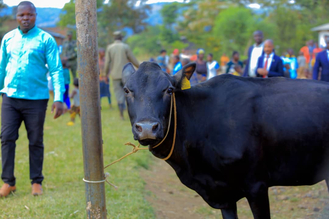 BugaramaS's tweet photo. Mu birori #Liberation29 Abaturage ba @BugaramaS bagabiye Rtd Cpl KAYITARE Innocent mu #gihango n'Inkotanyi zari ziyobowe na Nyakubahwa @PaulKagame zabohoye u Rwanda. Abatishoboye 14 bashyikirijwe inzu bubakiwe @RusiziDistrict @RwandaWest @RwandaLocalGov @rpfinkotanyi @RwandaMoD https://t.co/NKqRDu8P6e