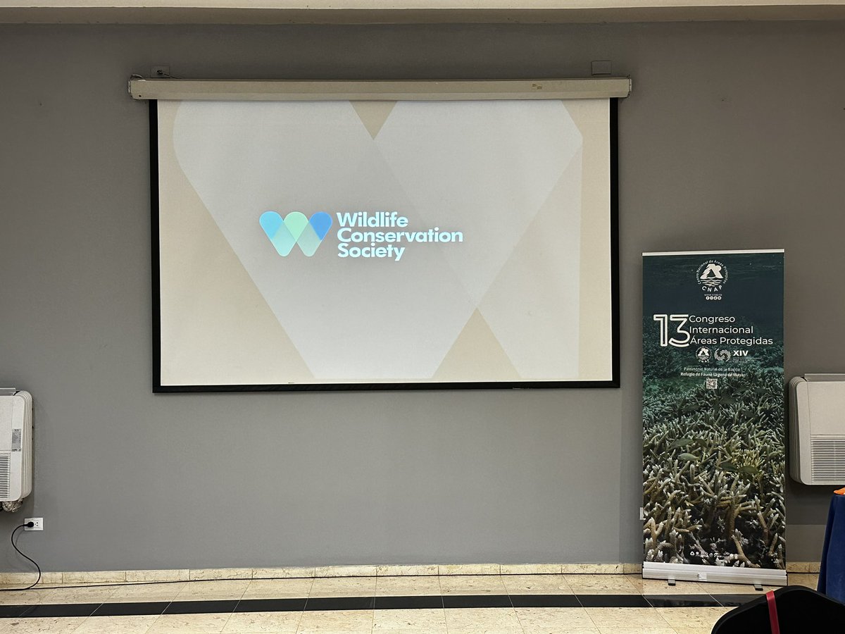 cabc_16's tweet photo. Kurt Duchez @kurtduchez, @WCS Mesoamerica y el Caribe presentando sobre tráfico ilegal de vida silvestre en el 13 Congreso de Áreas Protegidas, Cuba. @radachowsky @Guatemala_WCS @WCSBelize https://t.co/uBlH8PD59D