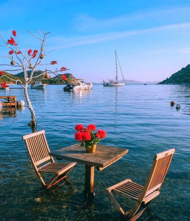 omer25can2525's tweet photo. Kimsenin umudunu kırma 
Çünkü umut tutulacak son daldır
Umut dolu güzel bir
Akşam Geçirmeniz DiLeğiyLe 
Hayırlı Akşamlar ☕ https://t.co/4YqUxweRIG